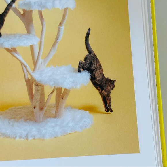 For Cats Only Pascale Weber Hatje Cantz Hardcover Cat Lovers Gift Book - Picture 5 of 13